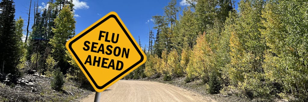 BeeHive Home Care Flu Season Ahead